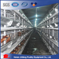 Industrial H Type Galvanized Steel Chicken / Broiler Cage with Good Quality